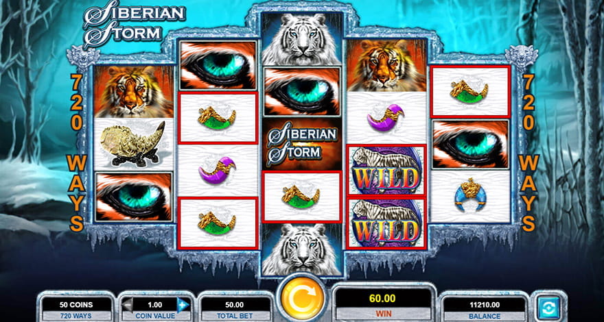 Score 720 Wins on Siberian Storm Animal Slot 